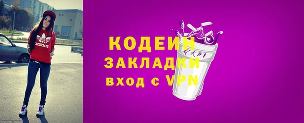 шишки Вяземский